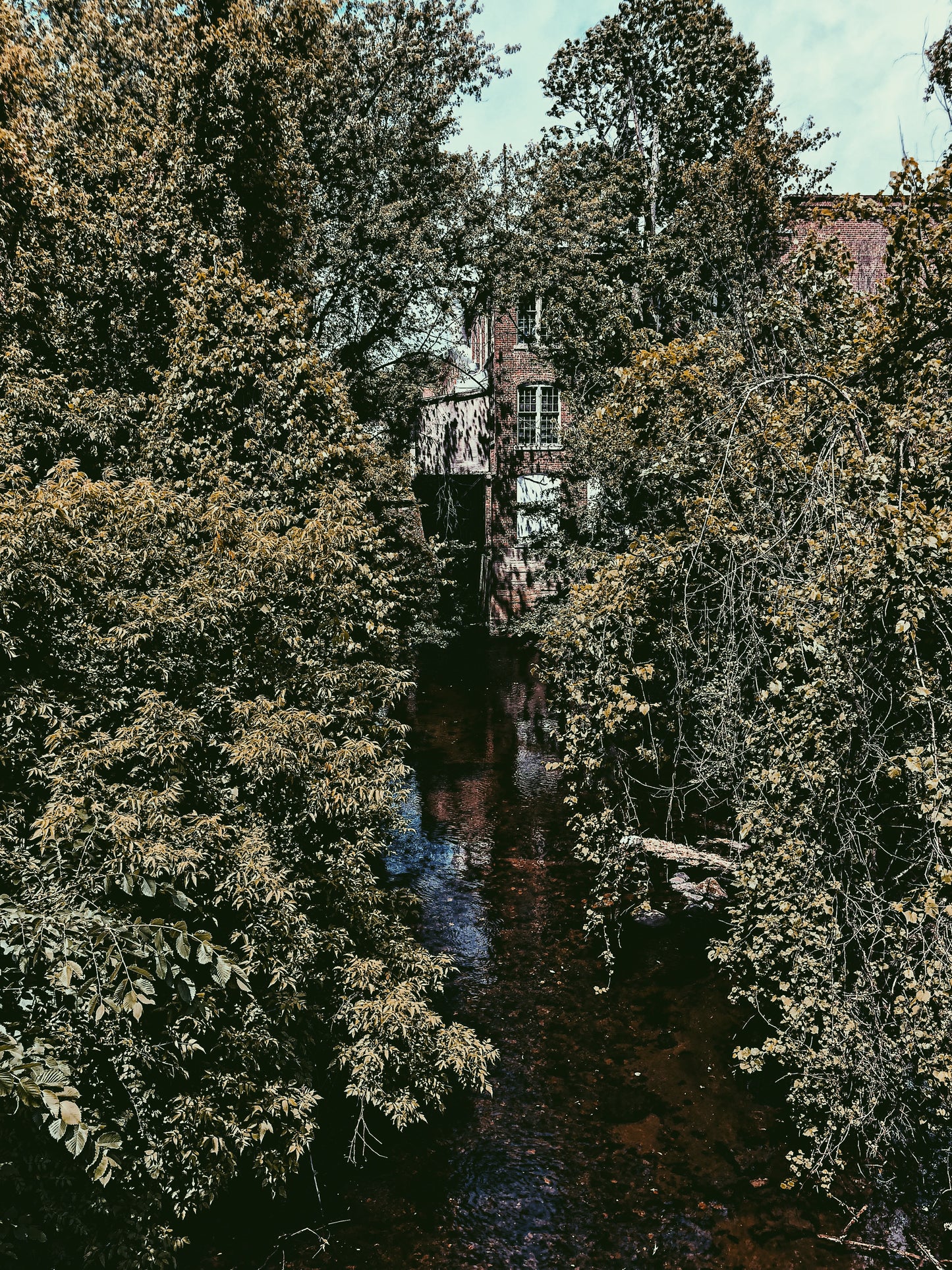 "Summer Creek"