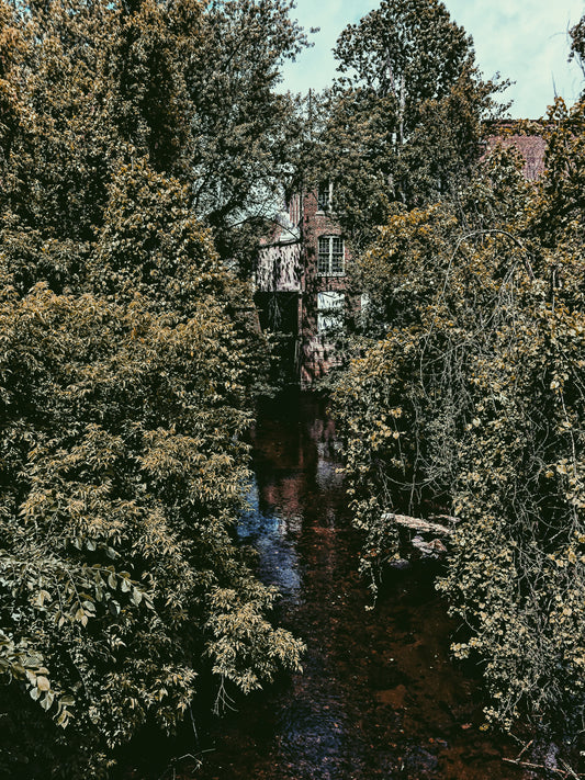 "Summer Creek"